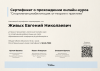Документ специалиста № 11