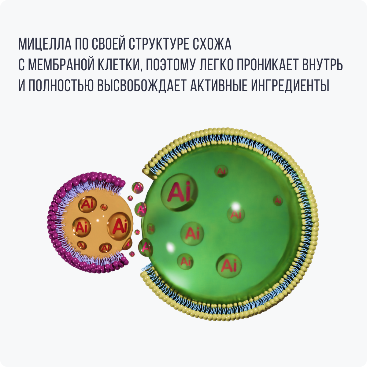IMUALI, Мицеллярный витамин C (аскорбил пальмитат), жидкость, 30 мл