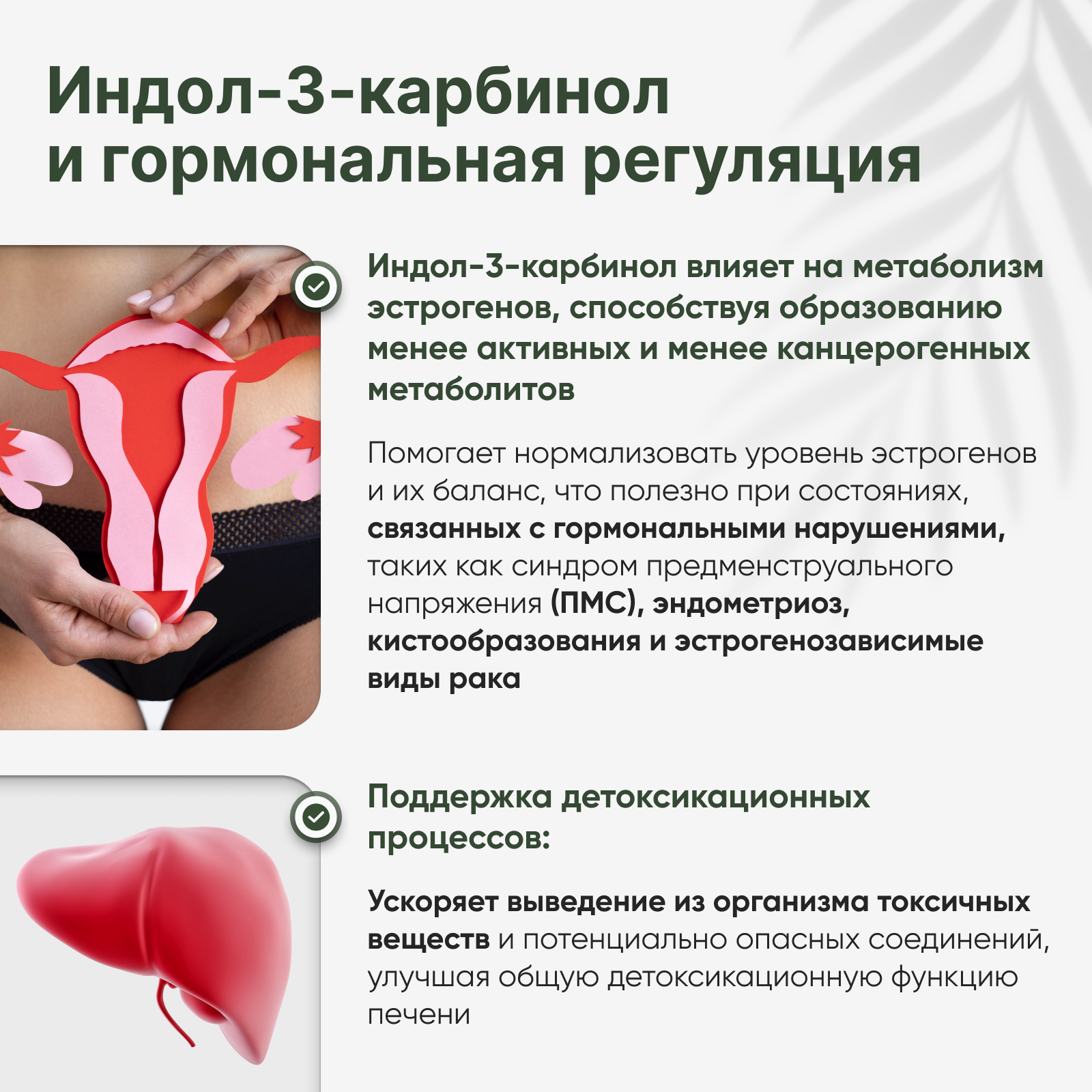 Restartbio, Порошок микрозелени брокколи органический, 90 г