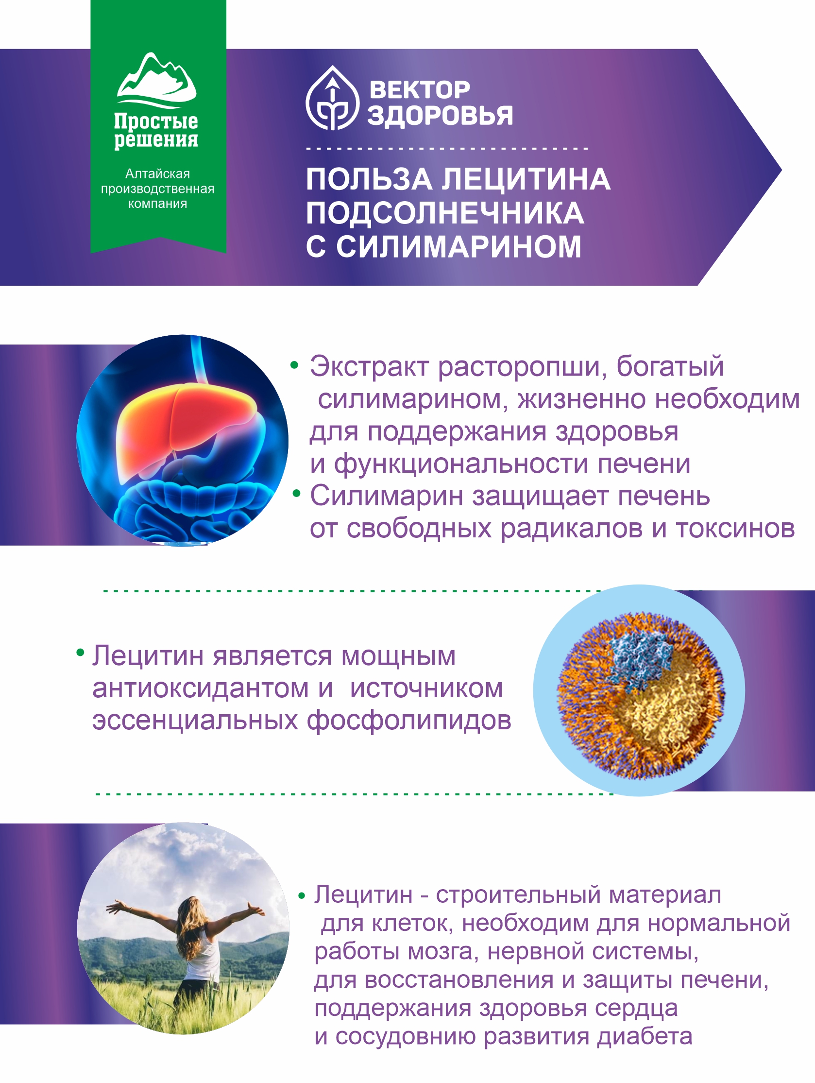 Алтай Простые решения, Комплекс Лецитин подсолнечный + Силимарин, капсулы, 60 шт.