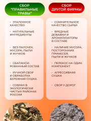 Правильные травы, Энергетический (митохондриальный) сбор, 100 г