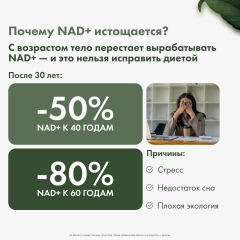 Restartbio, NMN + Q10 (продление молодости), капсулы, 60 шт.