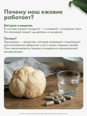Restartbio, Ежовик гребенчатый, капсулы, 90 шт.