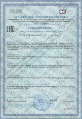 Avicenna, Form with L-carnitine (для детокса организма), капсулы, 60 шт.