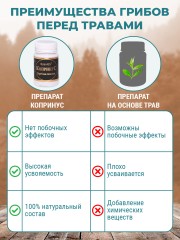 Фунго-Ши, Гриб «Копринус» (для борьбы с алкогольной зависимостью), капсулы, 60 шт.
