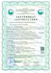 Minivits, Вкусные мультивитамины для улучшения памяти и концентрации внимания, со вкусом ананас, жидкость, 150 мл