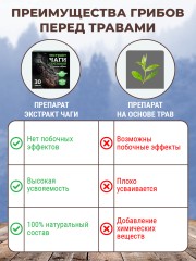 Фунго-Ши, Чайный напиток «Фунго-ши Чага» (для укрепления иммунитета), саше, 30 шт.