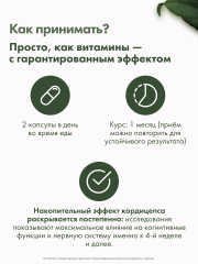 Restartbio, Кордицепс милитарис, капсулы, 90 шт.