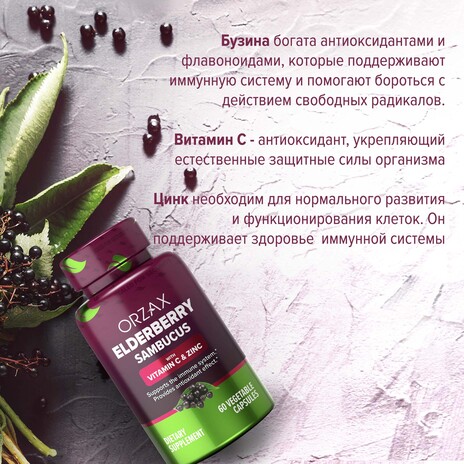 ORZAX, Елдрберри (Черная Бузина) с витамином C и цинком, капсулы, 60 шт.