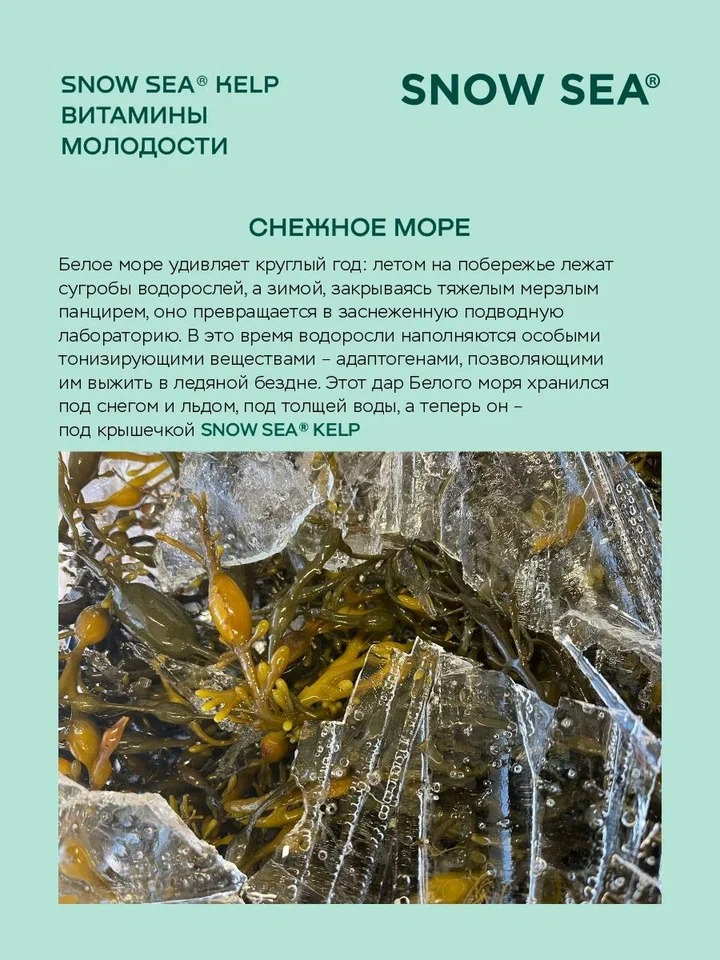 SNOW SEA®, KELP (ламинария и фукус), для молодости и долголетия, таблетки, 224 шт.