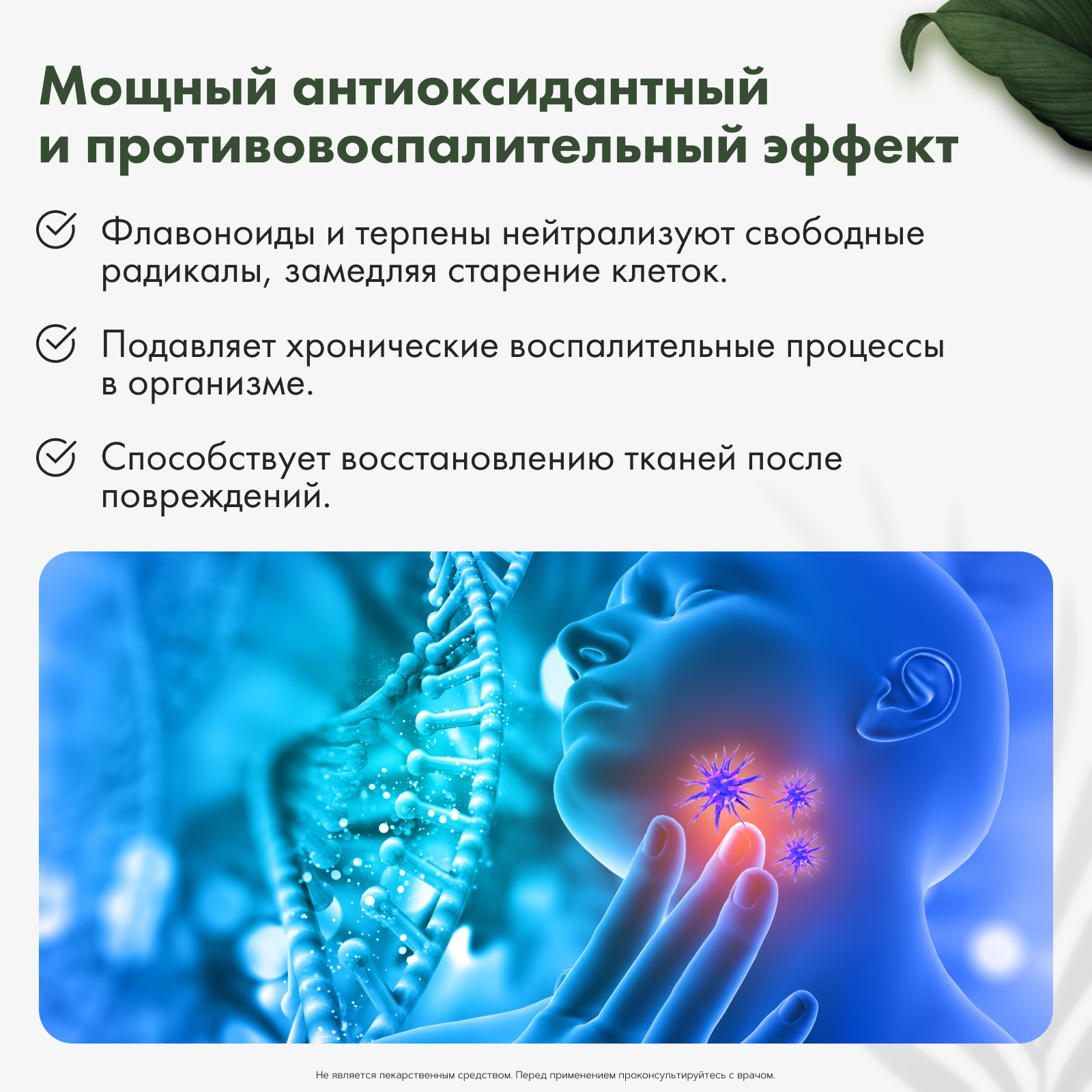Restartbio, Клеточный сок пихты сибирской, жидкость, 30 мл