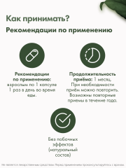Restartbio, Куркумин c пиперином, капсулы, 90 шт.