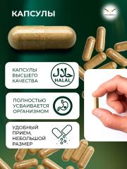 Сила феникса, Полынь в капсулах (90 капсул)
