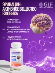 Green Leaf Formula, Ежовик гребенчатый + Бакопа Монье, (ноотропный комплекс), капсулы, 30 шт.