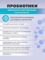АртЛайф, Панбиолакт Ментал (психобиотик для коррекции работы мозга), капсулы, 60 шт.