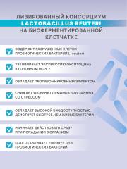 АртЛайф, Панбиолакт Ментал (психобиотик для коррекции работы мозга), капсулы, 60 шт.