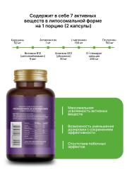 Lipomins, Липосомальный комплекс «LipoDetox» (для детоксикации и хелатирования), растительные капсулы, 60 шт.