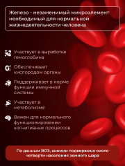 ENBIO, Железо Хелат (бисглицинат), для бодрости и иммунитета, капсулы, 60 шт.