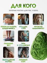 Живи200, Витграсс (детокс, поддержка иммунитета), таблетки, 300 шт.