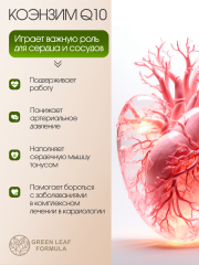 Green Leaf Formula, Коэнзим Q10 (убихинон), капсулы, 60 шт.