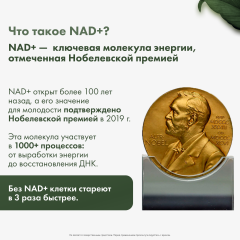 Restartbio, NMN + Q10 (продление молодости), капсулы, 60 шт.