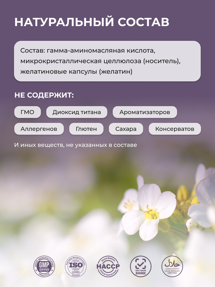 ENBIO, GABA (Гамма-аминомасляная кислота), для глубокого сна без тревоги, капсулы, 60 шт.