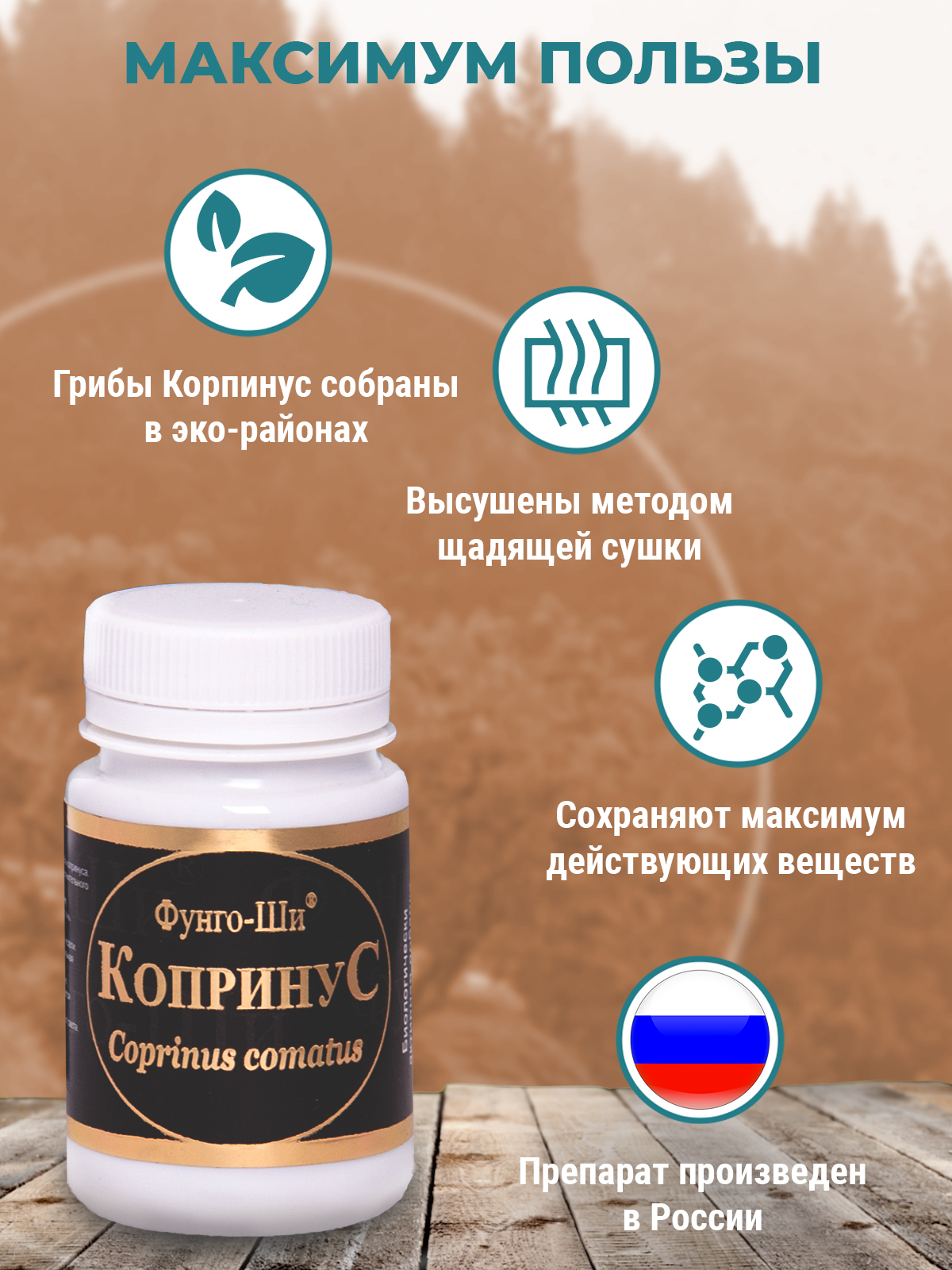 Фунго-Ши, Гриб «Копринус» (для борьбы с алкогольной зависимостью), капсулы, 60 шт.
