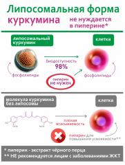 Алтай Простые решения, Комплекс для печени Липосомальный куркумин с силимарином, капсулы (веган), 60 шт.