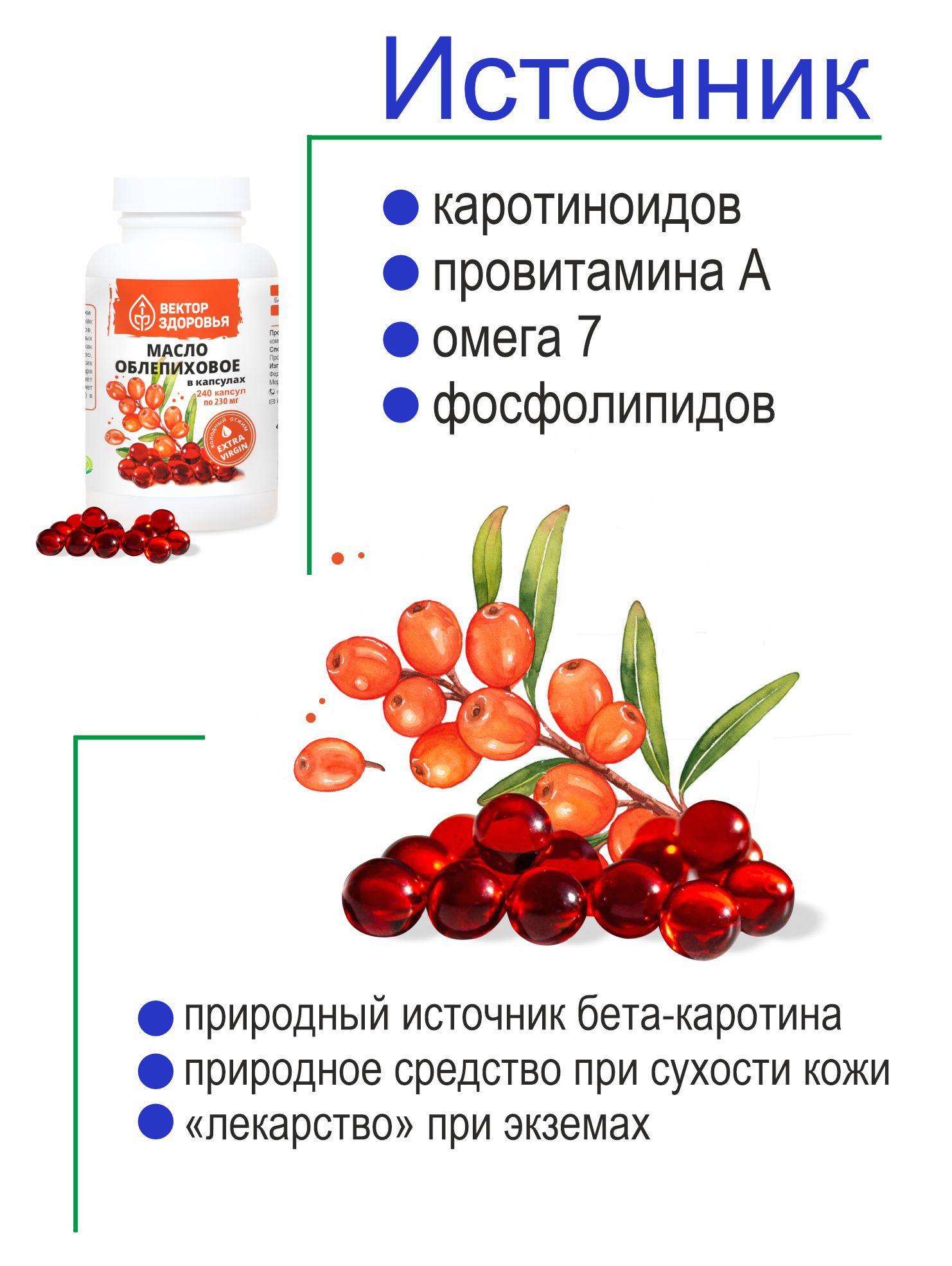 Алтай Простые решения, Масло облепиховое, капсулы, 240 шт.