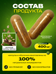 Сила Феникса, Корень лопуха, капсулы, 90 шт.
