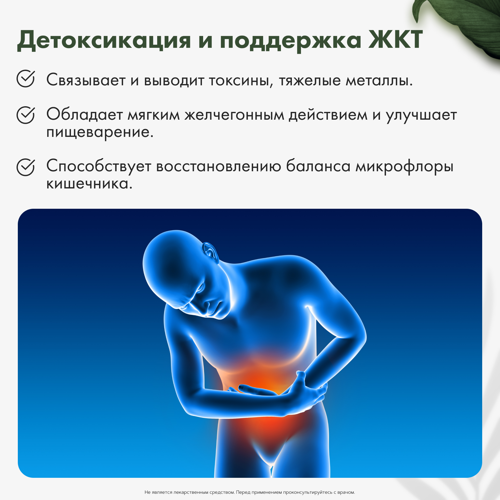 Restartbio, Клеточный сок пихты сибирской, жидкость, 30 мл