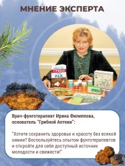 Фунго-Ши, Чайный напиток «Фунго-ши Чага» (для укрепления иммунитета), саше, 30 шт.