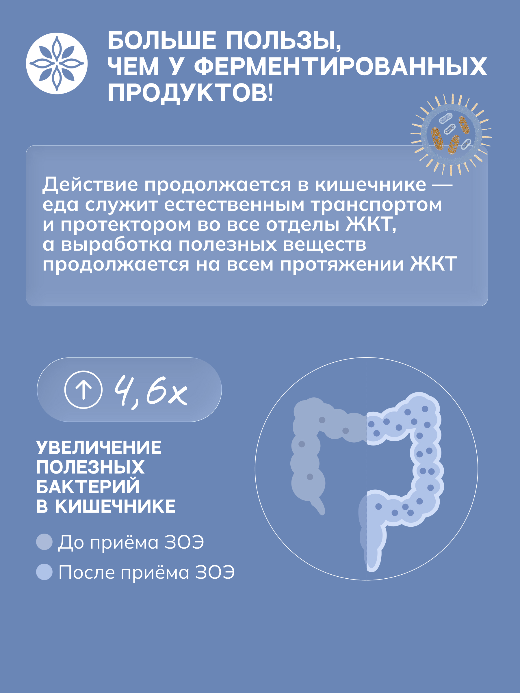 ЗОЭ, НАРИНЭ овсяный (живые Лактобактерии), 250 мл