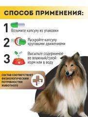 Алтайские традиции, Витаминный комплекс для собак «Блестящая шерсть», капсулы, 60 шт.