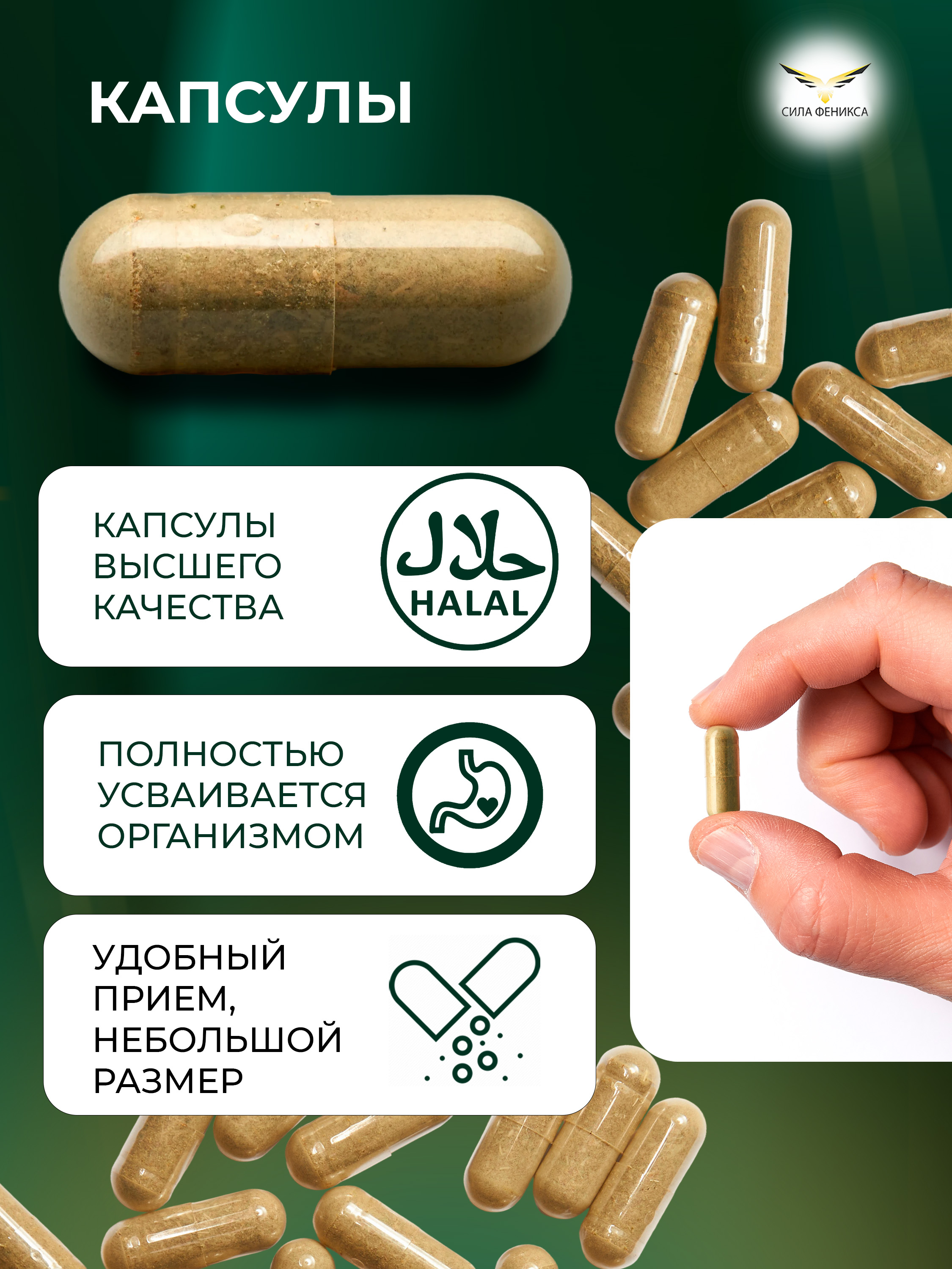 Сила феникса, Полынь в капсулах (90 капсул)