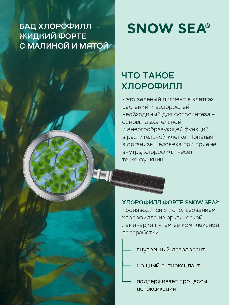 SNOW SEA®, Хлорофилл жидкий со вкусом мяты и малины (для детокса и похудения), жидкость, 450 мл