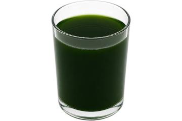 Nooteria Labs, Хлорофилл, со вкусом мяты, жидкость, 500 мл