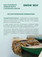 SNOW SEA®, Хлорофилл жидкий со вкусом мяты и малины (для детокса и похудения), жидкость, 450 мл
