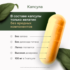 Restartbio, Коэнзим Q10 (убихинон), капсулы, 60 шт.