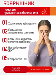 Правильные травы, Шиповник, 600 г
