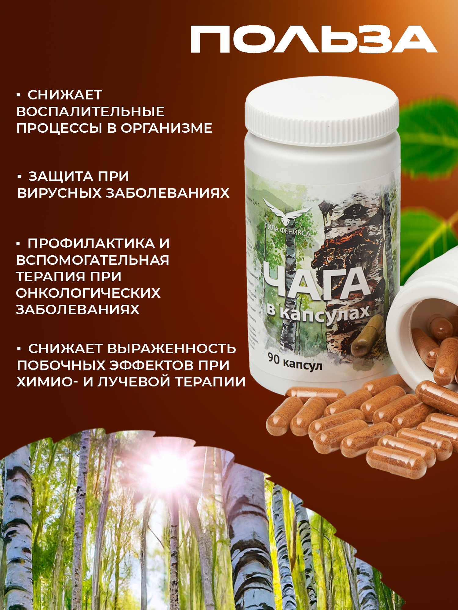 Сила феникса, Чага, капсулы, 90 шт.