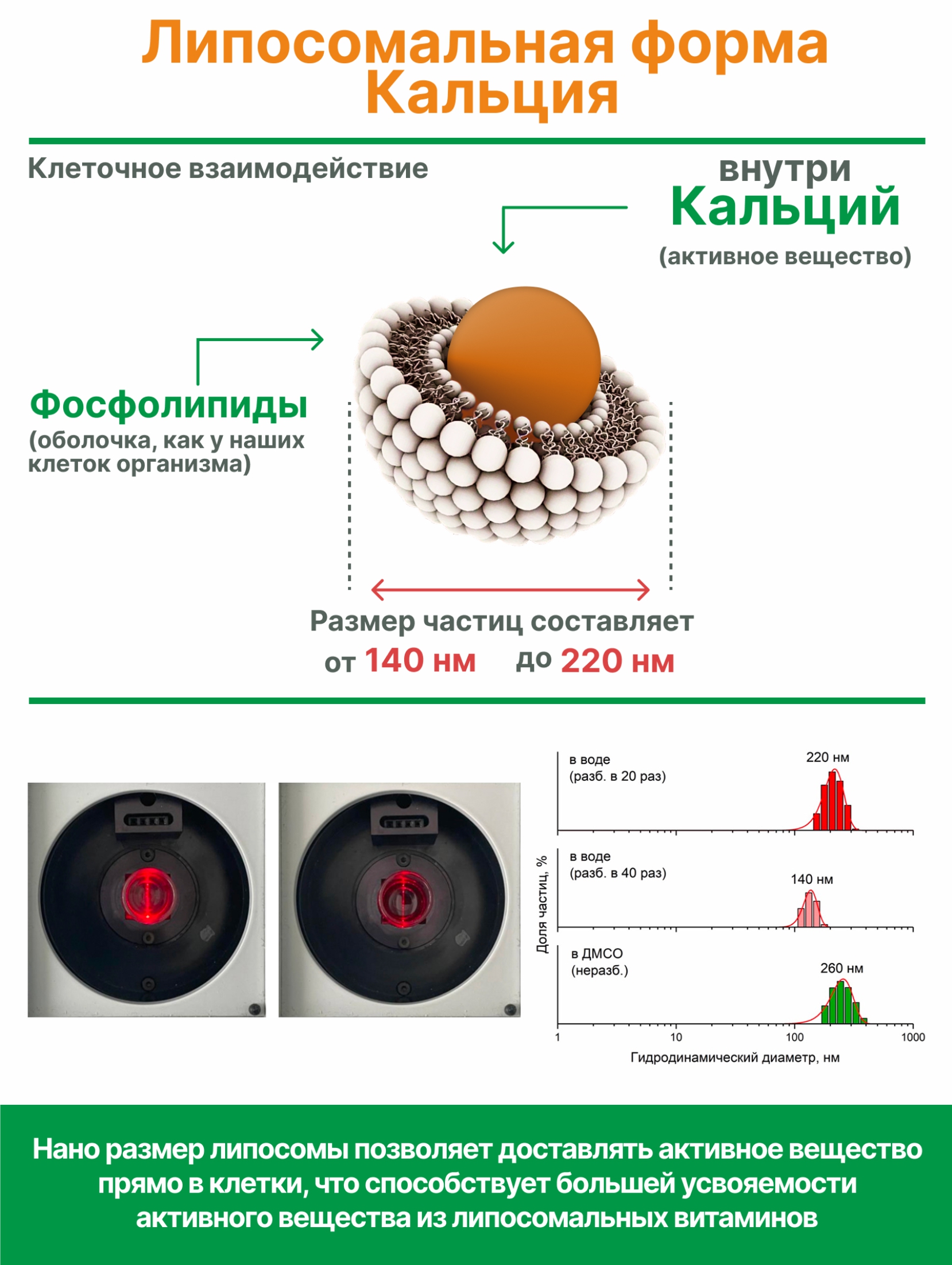 Алтай Простые решения, Комплекс «Липосомальный кальций, магний, цинк», капсулы, 60 шт.