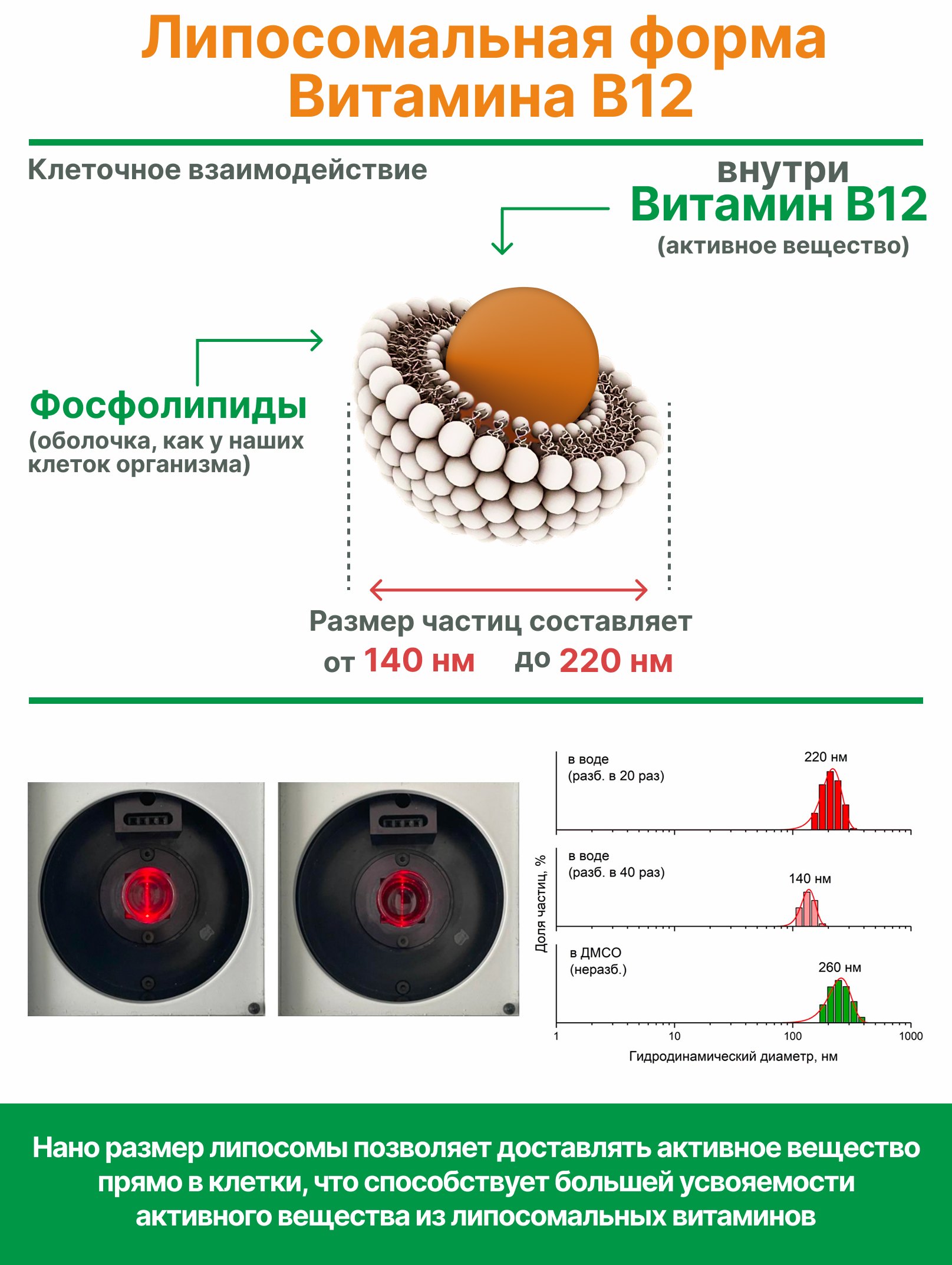 Алтай Простые решения, Липосомальный Витамин B12 (метилкобаламин), капсулы, 60 шт.