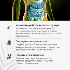 Restartbio, Лецитин (подсолнечный), капсулы, 90 шт.