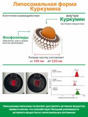 Алтай Простые решения, Комплекс для печени Липосомальный куркумин с силимарином, капсулы (веган), 60 шт.