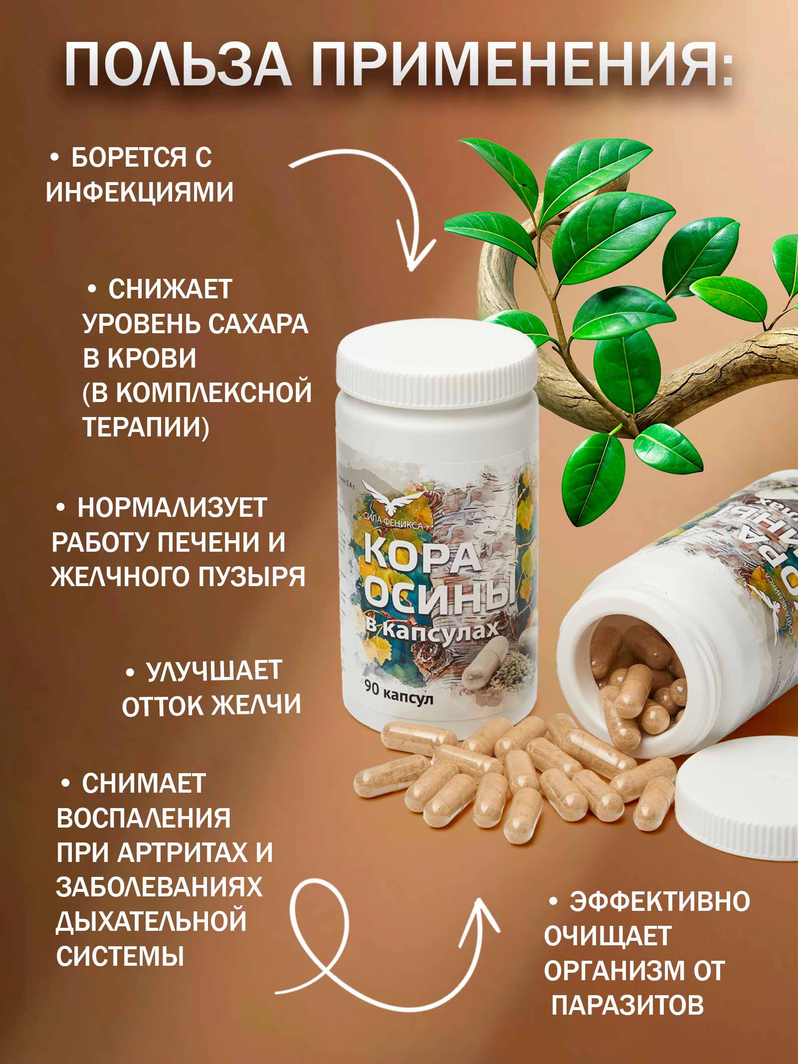 Сила феникса, Кора осины, капсулы, 90 шт.