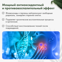Restartbio, Клеточный сок пихты сибирской, жидкость, 30 мл