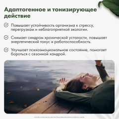 Restartbio, Клеточный сок пихты сибирской, жидкость, 30 мл