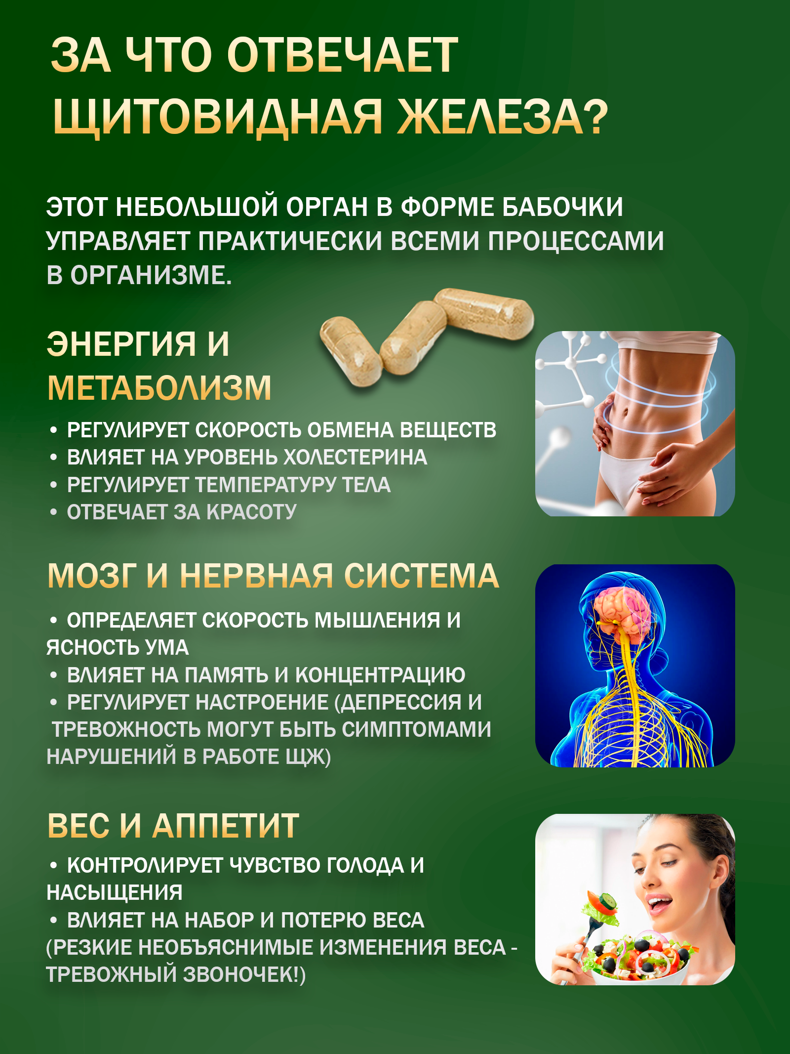 Сила феникса, Лапчатка белая (корень), капсулы, 90 шт.