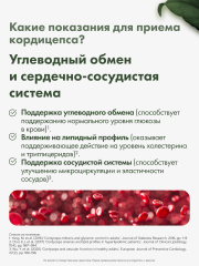 Restartbio, Кордицепс милитарис, капсулы, 90 шт.